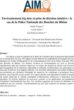 Environnement big data et prise de d&eacute;cision intuitive : le cas de la Police Nationale des Bouches du Rh&ocirc;ne