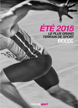 Été 2015 le plus grand terrain de sport - France Télévisions