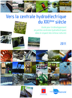 Vers la centrale hydroélectrique - du XXIème siècle