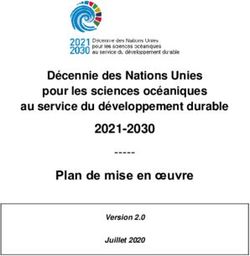 Plan de mise en oeuvre - Décennie des Nations Unies pour les sciences océaniques au service du développement durable - OceanExpert