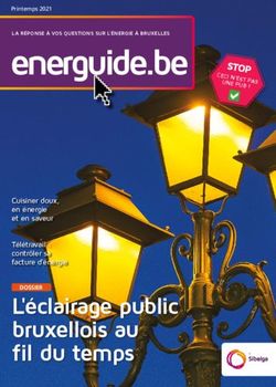 Energuide.be - L'&eacute;clairage public bruxellois au fil du temps Cuisiner doux, en &eacute;nergie et en saveur