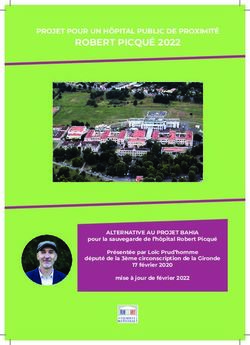 ROBERT PICQU&Eacute; 2022 PROJET POUR UN H&Ocirc;PITAL PUBLIC DE PROXIMIT&Eacute; - ALTERNATIVE AU PROJET BAHIA - Lo&iuml;c Prud'homme