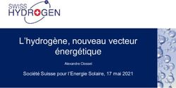 L'hydrogène, nouveau vecteur énergétique - Société Suisse pour l'Energie Solaire, 17 mai 2021 - SSES