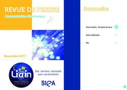 REVUE DE PRESSE Communication Electronique - Sommaire - RESO-LIAin