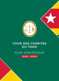 COUR DES COMPTES DU TOGO - PLAN STRAT&Eacute;GIQUE 2021 2025 - INTOSAI Development ...