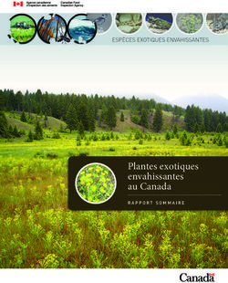Plantes exotiques envahissantes au Canada - RappoRt sommaiRe