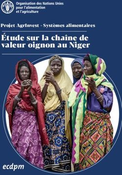 Étude sur la chaîne de valeur oignon au Niger - Projet AgrInvest - Systèmes alimentaires
