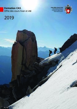 2019 Formation CAS Offre des cours hiver et été