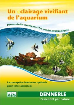 Un éclairage vivifiant de l'aquarium - pour embellir visuellement les mondes subaquat