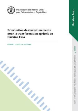 Priorisation des investissements pour la transformation agricole au Burkina Faso - RAPPORT D'ANALYSE POLITIQUE