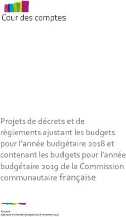 Projets de décrets et de règlements ajustant les budgets pour l'année budgétaire 2018 et contenant les budgets pour l'année budgétaire 2019 de la ...