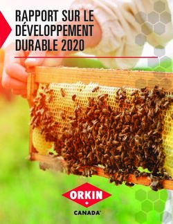 RAPPORT SUR LE DÉVELOPPEMENT DURABLE 2020