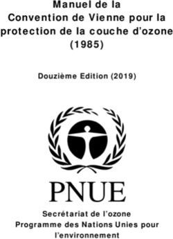PNUE - Manuel de la Convention de Vienne pour la protection de la couche d'ozone (1985)