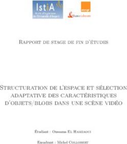 Structuration de l'espace et sélection adaptative des caractéristiques d'objets/blobs dans une scène vidéo - Rapport de stage de fin d'études
