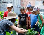 RAPPORT D'ACTIVIT&Eacute;S Le Soleil de La rue Clark - Sun Youth