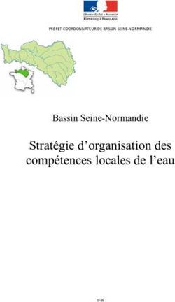 Stratégie d'organisation des compétences locales de l'eau - Bassin Seine-Normandie - Driee