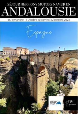 ANDALOUSIE Espagne - DVExperience