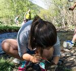 Activités éducatives en espagnol, anglais et français - ANNÉE SCOLAIRE 2018-2019 - Món Sant Benet