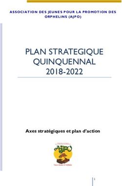 PLAN STRATEGIQUE QUINQUENNAL - 2018-2022 Axes Stratégiques Et Plan D ...