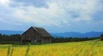 GUIDE DES BONNES PRATIQUES POUR LA CONSERVATION ET LA MISE EN VALEUR DES B&Acirc;TIMENTS AGRICOLES DE CHARLEVOIX - MRC de Charlevoix-Est