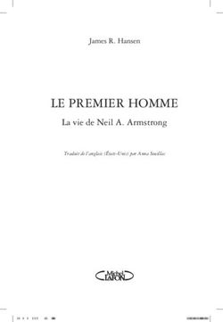 Le premier homme la vie de Neil A. Armstrong - James r. hansen - Michel Lafon Canada