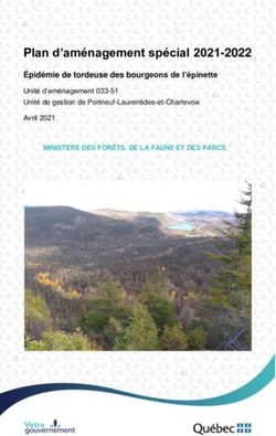 Plan d'am&eacute;nagement sp&eacute;cial 2021-2022 - &Eacute;pid&eacute;mie de tordeuse des bourgeons de l'&eacute;pinette