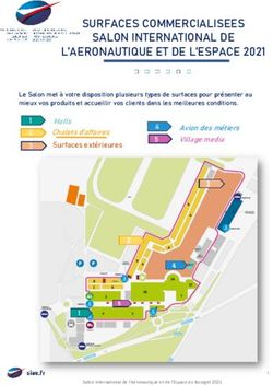 SURFACES COMMERCIALISEES SALON INTERNATIONAL DE L'AERONAUTIQUE ET DE L'ESPACE 2021 - Salon du Bourget