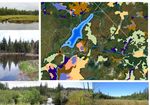 M&Eacute;THODE DE CLASSIFICATION DES MILIEUX HUMIDES DU QU&Eacute;BEC FORESTIER &Agrave; PARTIR DE LA CARTE &Eacute;COFORESTI&Egrave;RE DU 4e INVENTAIRE - M&eacute;lina Houle Marcel ...