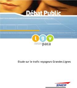 Etude sur le trafic voyageurs Grandes Lignes