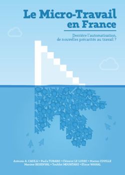 LE MICRO-TRAVAIL EN FRANCE - DERRI&Egrave;RE L'AUTOMATISATION, DE NOUVELLES PR&Eacute;CARIT&Eacute;S AU TRAVAIL ? - DIPLAB