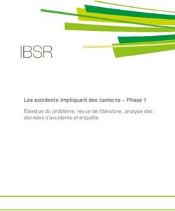 &Eacute;tendue du probl&egrave;me, revue de litt&eacute;rature, analyse des - donn&eacute;es d'accidents et enqu&ecirc;te - Vias Institute