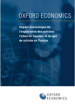 Impact &eacute;conomique de l'exploration des schistes riches en liquides et du gaz de schiste en Tunisie