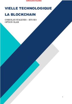 VIELLE TECHNOLOGIQUE LA BLOCKCHAIN - CORIOLAN STALENES - BTS SIO OPTION SLAM CORIOLAN STALENES