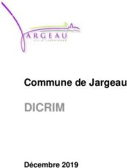 DICRIM Commune de Jargeau - Décembre 2019 - Conseil départemental du Loiret