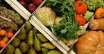 Invendus / invendables - quelles solutions pour les fruits et l&eacute;gumes ? - Pays de ...