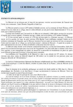 LE RUISSEAU " LE MESCURT " - Saint-Lys