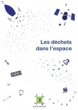 Les d&eacute;chets dans l'espace - n 2 - Robin des Bois
