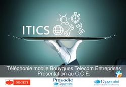 Téléphonie mobile Bouygues Telecom Entreprises Présentation au C.C.E.