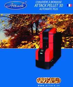 ATTACK PELLET 30 CHAUDIÈRE À BIOMASSE AUTOMATIC PLUS