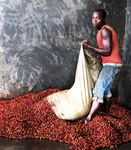 Agir ensemble pour une société meilleure - MAGAZINE ANNUEL 2015 - King Baudouin Foundation