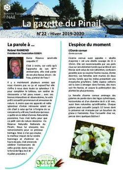 La gazette du Pinail N 22 - Hiver 2019-2020 - Réserve Naturelle Nationale du Pinail