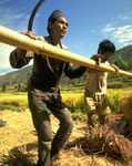 NORMES ENVIRONNEMENTALES ET SOCIALES - Programme des Nations Unies pour le d&eacute;veloppement - UNDP