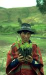 NORMES ENVIRONNEMENTALES ET SOCIALES - Programme des Nations Unies pour le d&eacute;veloppement - UNDP