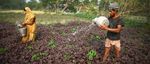 NORMES ENVIRONNEMENTALES ET SOCIALES - Programme des Nations Unies pour le d&eacute;veloppement - UNDP