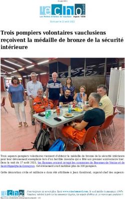 Trois pompiers volontaires vauclusiens re&ccedil;oivent la m&eacute;daille de bronze de la s&eacute;curit&eacute; int&eacute;rieure - L'Echo du Mardi