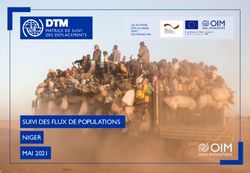SUIVI DES FLUX DE POPULATIONS NIGER MAI 2021