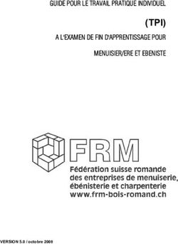 (TPI) GUIDE POUR LE TRAVAIL PRATIQUE INDIVIDUEL - VERSION 5.0 / octobre 2008 - FRECEM