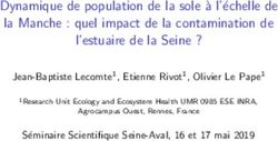Dynamique de population de la sole 'a l' echelle de la Manche : quel impact de la contamination de l'estuaire de la Seine ? - GIP Seine-Aval