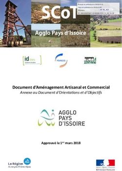 Document d'Aménagement Artisanal et Commercial - Annexe au Document d'Orientations et d'Objectifs