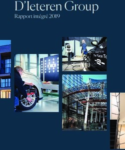 D'Ieteren Group Rapport int&eacute;gr&eacute; 2019 - imgix